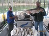 (09/18/2017) - Nice Striped Bass